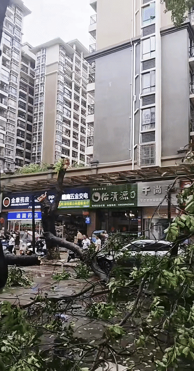 99ab8006ee06ba1376263cb2b55d9795.gif