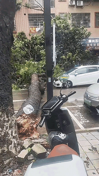 02b7d16d24663a04b6db688ca42ff3c3.gif