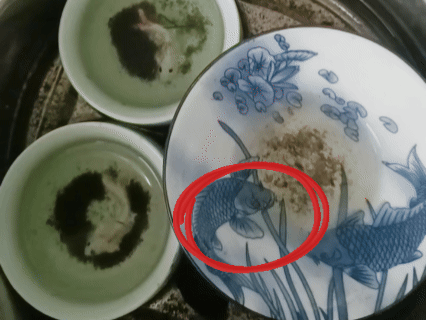 42f36595e11b1f4ad5c6505a02e1eea6.gif