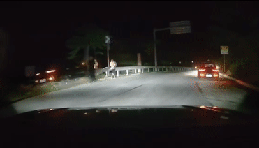 6012217a9102eff1c784fc1a70830909.gif
